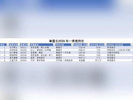 章盟主2026 年一季度持仓 #章盟主 #资源 #AI #医疗 #汽车