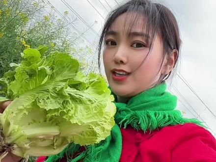 玉芬是谁?她和彪哥的来历都写在这首歌里了,看到最后你就明白啦 #玉芬 #玉芬啊玉芬你让彪哥好伤心 #玉芬啊玉芬彪哥断不了情根 #我叫玉芬 #上热门