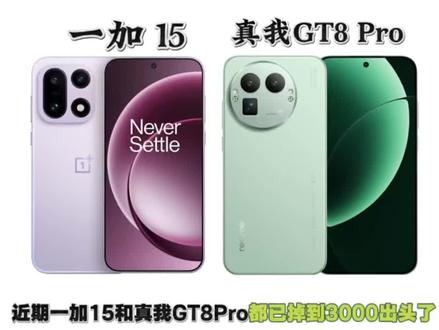 同意3000出头的一加15和真我GT8Pro你们会选择哪台呢? #一加 #真我 #数码科技 #拍机堂淘机 #热门手机对比
