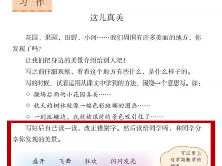 《这儿真美》单元习作应该如何指导学生写作,更重要的是围绕“这儿”写#小学语文 #小学作文 #名师课堂 #备课 #教师