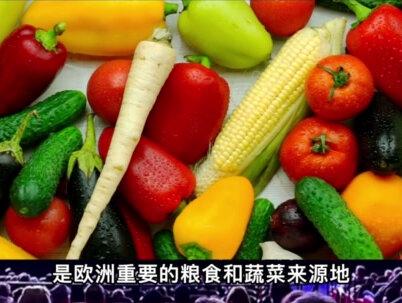 不看不知道,以色列面积不到日本十分之一,竟然打遍中东无敌手 #以色列 #核武器 #发达国家 #实力 #压迫感