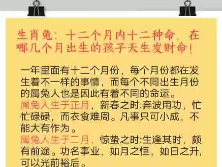 生肖兔:十二个月内十二种命,在哪几个月出生的兔子天生发财命!#87正能量 #兔#生肖兔#12生肖