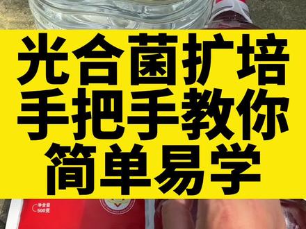 水产养殖扩培光合菌,手把手分享,我花五分钟,竟然就学会扩培了。#水产养殖 #敖云飞 #敖大虾 #光合细菌 #光合细菌培养基