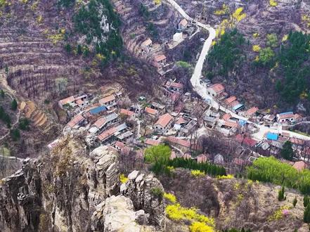 春日的天门峪,博山独有的温柔与生机。#连翘花开了
