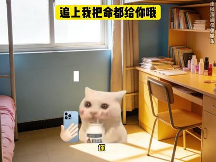 追上我把命都给你哦(。・ω・。)ノ♡ #猫meme #告白气球 #抽象 #离谱小说
