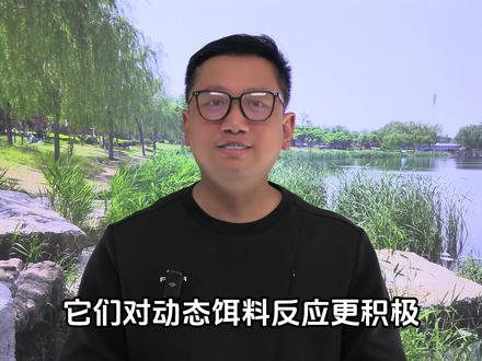 立夏之后鱼情大变样,想要钓好鱼这几点得注意,附钓鱼随身卡 立夏到夏至鱼情攻略:多数钓友败给隐形对手,附钓鱼随身卡#钓鱼 #野钓 #时间 #水深 #饵料
