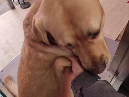 “我知道摸狗不要钱,但它没嫌我”这个故事真的看的我又感动又心酸...#流浪汉 #小狗 #感动 #心酸 #正能量