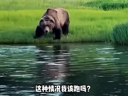 这些情况该跑还是躲?选错一步可就开席啦!#科普 #自然奇观 #自然灾害 #户外 #野生动物