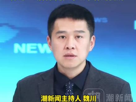 女子在猫咖虐猫致4只小猫死亡 自称因“心情不好”施暴,律师:或将面临3年以下有期徒刑