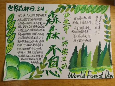 世界森林日手抄报!森森不息,让生命持续流动!黑色为油性马克笔,白色为丙烯马克笔。#手抄报 #创作者中心 #创作灵感 #世界森林日 #想画就画
