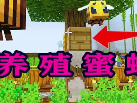 我的世界生存156:新手如何养殖蜜蜂?掌握这几点让你成为养蜂达人!-2