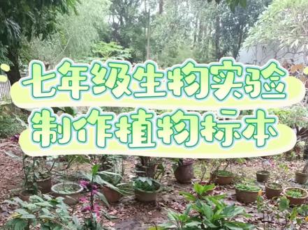 七年级生物实验制作植物标本
