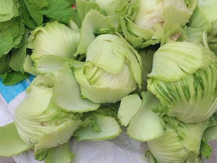 芥菜包潮汕传统腌法,汕头阿姨详细教你做,掌握一点脆爽开胃不坏