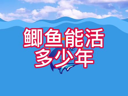 鲫鱼能活多少年?几两都算大鲫鱼你信吗?#钓鲫鱼 #钓鲫鱼技巧