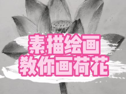 接天莲叶无穷碧?不好意思,我只画一朵!#素描 #画画 #荷花 @抖音小助手