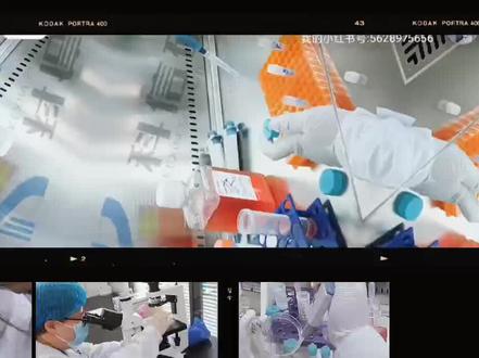 组织脱水包埋、石蜡切片、HE染色及结果分析、特殊染色(masson、PAS、油红O、番红O-固绿、VG、甲苯胺蓝、天狼星红、阿利新蓝、碱性磷酸酶、茜素红、瑞氏姬姆萨、TRAP、TTC染色等),免疫组化染色及图像结果分析、免疫荧光(单标和双标)及图像结果分析、tunel及图像结果分析,多重荧光免疫组化(最多同时标记6种蛋白)及结果分析,共聚焦图像采集,染色切片白光扫描和染色切片荧光扫描(含荧光双标),扫描电镜及透射电镜,ELISA,WB,RT-PCR,细胞培养(细胞划痕、细胞侵袭、细胞迁移、细胞转染、细胞集落实验、MTT、CCK8),流式凋亡,流式周期,动物造模
课题结果整理,选图、数据分析绘图,及排版;免疫组化照片及免疫荧光照片阳性区域的IOD值,面积、阳性率、阳性细胞数及血管密度等分析。
免疫组化结果分析、免疫荧光结果分析、tunel凋亡指数分析,HE染色形态学描述,Masson染色胶原容积分数测定,数据统计学分析及绘图等服务项目。