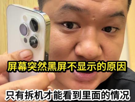 14Pro突然黑屏不显示?到底什么问题导致?#苹果手机 #数码科技 #被炸