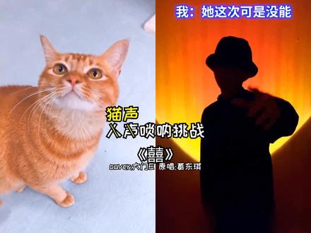 包子:挑战人声唢呐可以用我这个猫体唢呐萌混过关吗#挑战人声唢呐 #会唱歌的猫 #囍 @DOU+小助手 @大门E