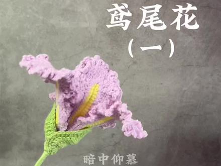 鸢尾花钩织教程一#手工编织零基础教学 #爱生活爱编织 #手工diy #玩毛线 #上热门
@新妈咪手作 @苏苏姐家手工编织
苏苏姐家的四股线:浅黄,浅紫,柳绿