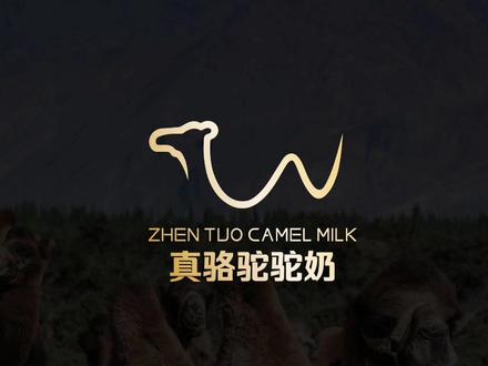 这是一个两次一笔完成的logo#标志设计 #logo设计 #创业 #美食摄影 #骆驼