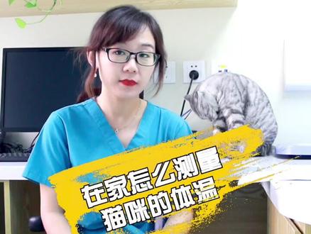 #萌宠 #科学也偶像 你知道猫咪体温如何测量吗@抖音小助手