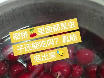 樱桃🍒里面有虫子🐛#泡樱桃