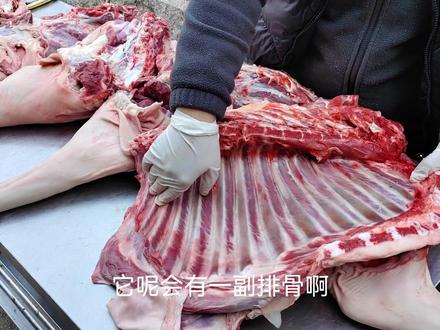 一个视频教会你怎么选择羊前腿还是后腿!
