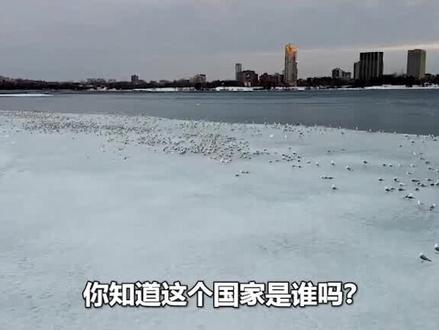 仅次于俄罗斯的第二领土大国,美国的北方邻居,却没有一点存在感 #地理 #科普 #看世界