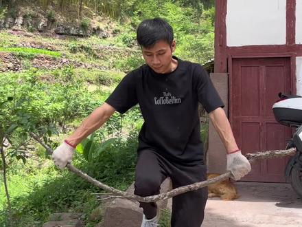 徒手劈柴教程#劈柴 #技术活 #技术分享 #教程 #农村生活