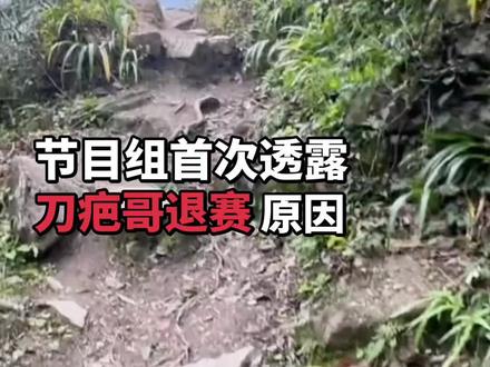 刀疤粉请点开我主页观看置顶的视频