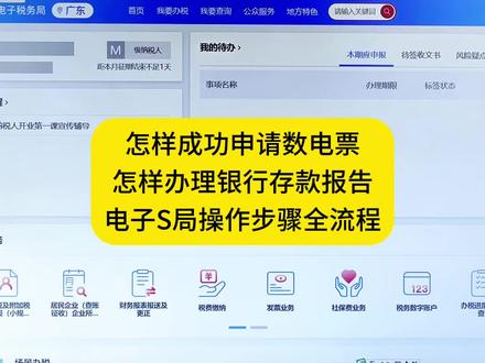 怎样成功申请数电票怎样办理银行存款报告电子S局操作步骤全流程#会计工作全流程#一对一手把手教做账报税#初级会计#会计实操秘籍📚
