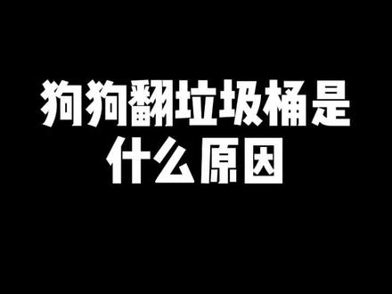 狗狗翻垃圾桶是什么原因?#狗狗 #宠物