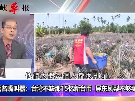 绿营名嘴叫嚣:台湾不缺那15亿新台币 屏东凤梨不够卖