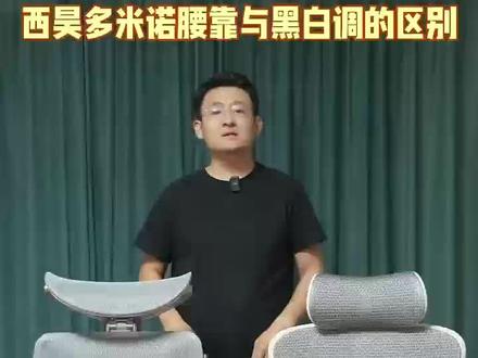 西昊C300与黑白调腰靠的区别
#西昊人体工学椅
@扬州金鹰京华城金鹰西昊金兰