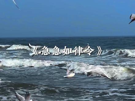 “急急如律令 妈咪贝贝哄~”#音乐分享 #阴乐 #急急如律令 #抽象 #小年快乐