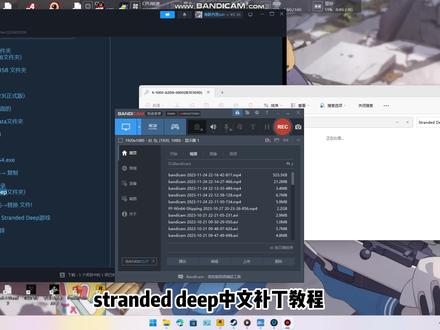 #steam #电脑 #荒岛求生 stranded deep 中文语言包安装教程