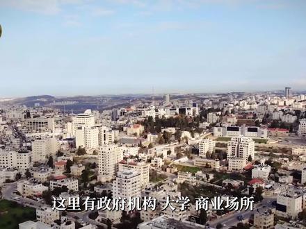 巴勒斯坦是个怎样的国家呢? #巴勒斯坦 #中东 #地理科普