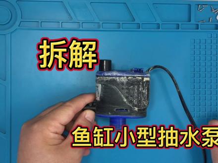 拆解鱼缸小型抽水泵,小伙直呼坏了就扔了,直接买新的#鱼缸水泵