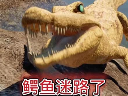 #恐龙世界 #鳄鱼 关注我直播更精彩哦!