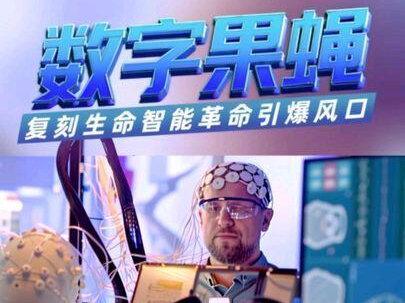 #意识上传 #赛博永生 #数字果蝇 #数字生命 #果蝇大脑ai
数字果蝇复刻生命
智能革命引爆风口