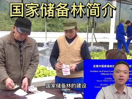 国家储备林简介——发展中国家官员研修班节选