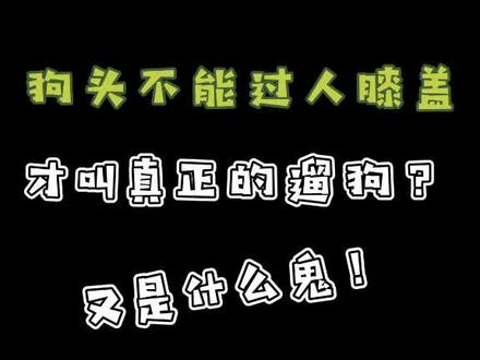 #遛狗 不光狗不能走人前面,狗头还不能超过人膝盖??那才叫真正的遛狗??什么👻#训犬