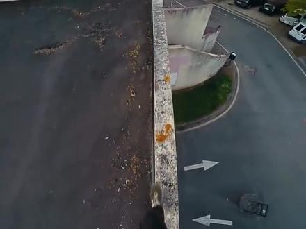 书名:《航海 日记》#小说 #QQ阅读 #爽文