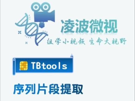 TBtools——一种简单易操作,适合大众化的基因序列提取的小工具