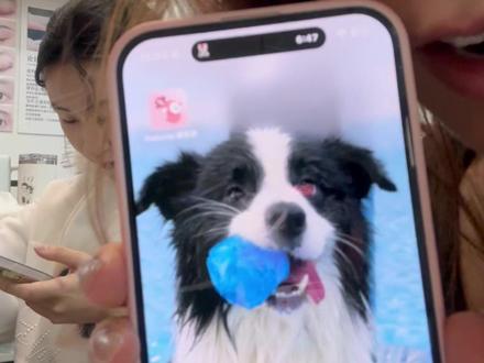 谢谢你,凯哥 #王俊凯 #话剧 #抢票