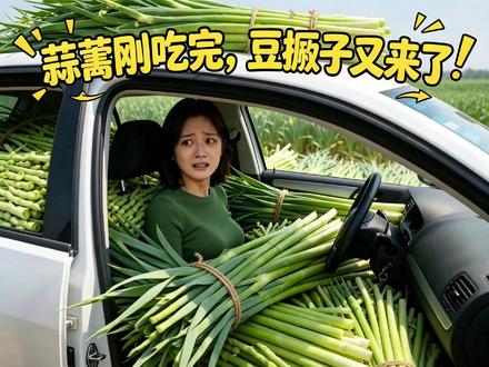 蒜薹刚吃完,豆橛子又来了! #蒜苔 #搞笑 #抽象 #内容过于真实 #离谱