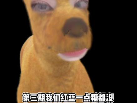 #泰国恋综 #Lovex #nasu