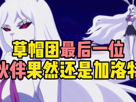 海贼王草帽团最后一位伙伴果然还是加洛特#海贼王