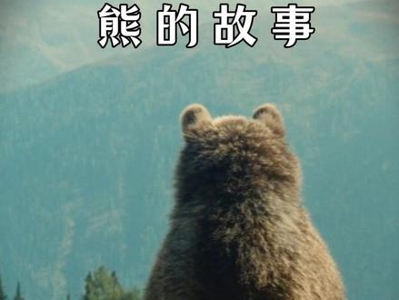 一部让你催泪的动物电影