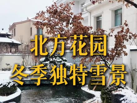 北方花园冬季还可以这么美!#雪景 #花园 #花园设计 #庭院设计#原创视频